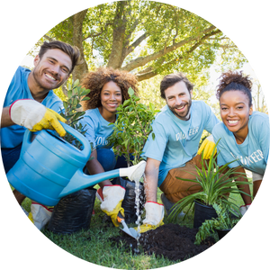 4 adults gardening